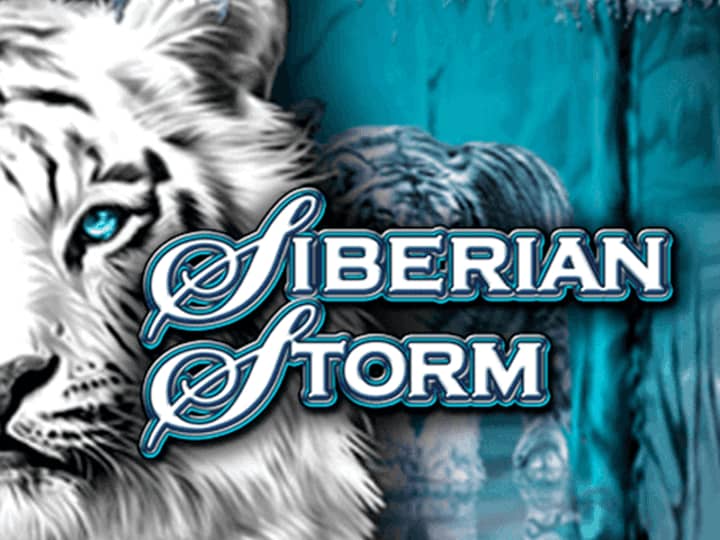 Siberian Storm online za darmo